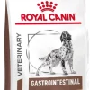 Croquettes pour chien Gastrointestinal High Fibre 14kg