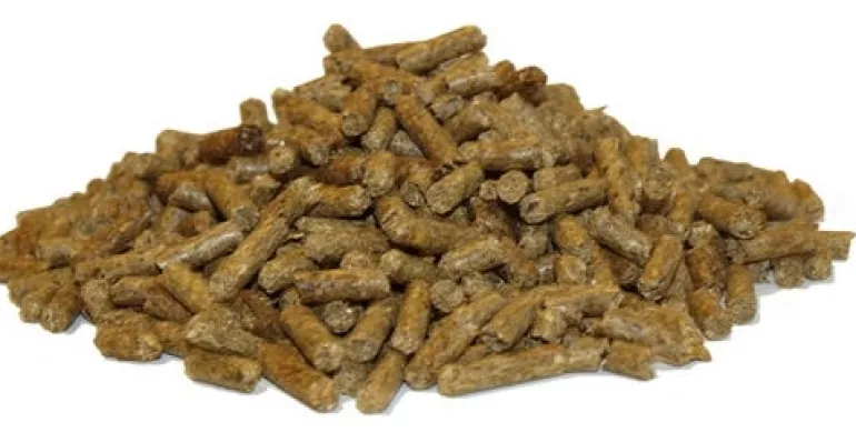 Cubes 25 kg
