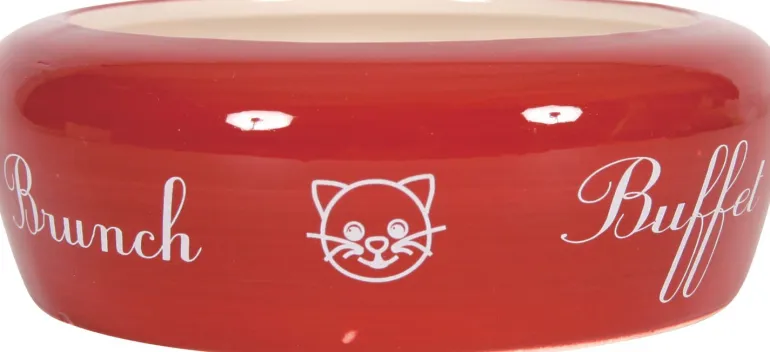 Écuelle céramique antirejet rouge pour chat Ø13cm 0,3L