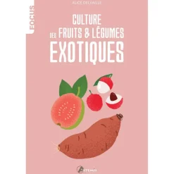 Culture de fruits et légumes exotiques