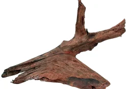 Décor aquarium racine mangrove médium - 25 à 40cm
