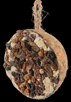 Demi noix de coco graisse-raisins secs pour oiseaux 200g