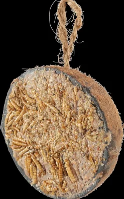 Demi noix de coco graisse-vers de farine pour oiseaux 200g