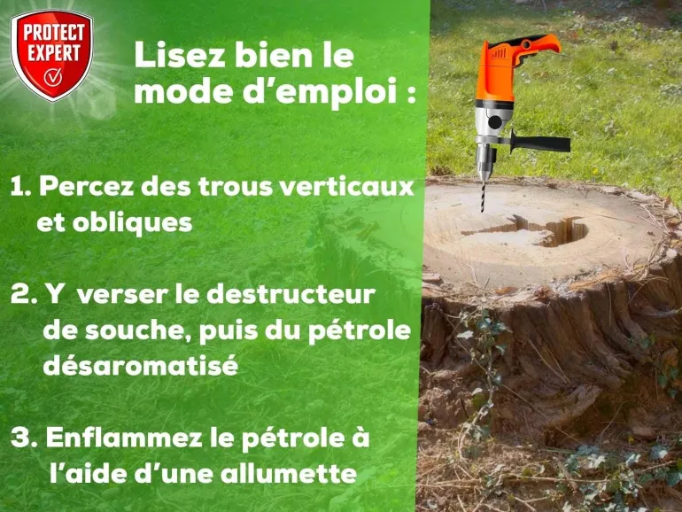 Destructeur de souche 400g PROTECT EXPERT