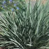 Dianelle COOLVISTA Pot 4.5L