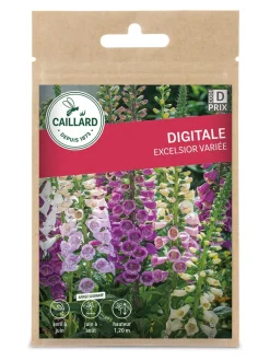 Digitale Excelsior variée 1g CAILLARD