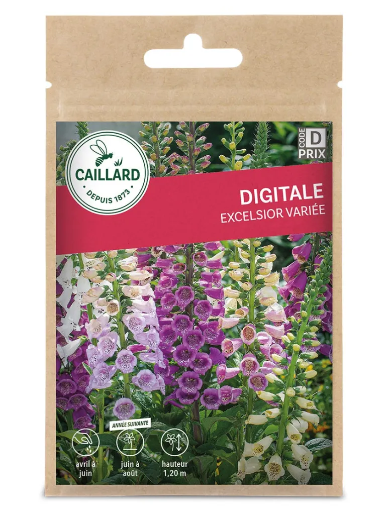 Digitale Excelsior variée 1g CAILLARD