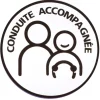 Disque Conduite accompagnée magnétique