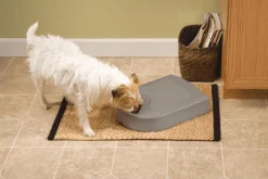 Distributeur automatique 5 repas PETSAFE