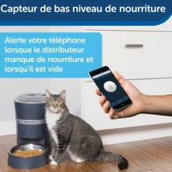 Distributeur connecté Smart Feed 12 repas bleu