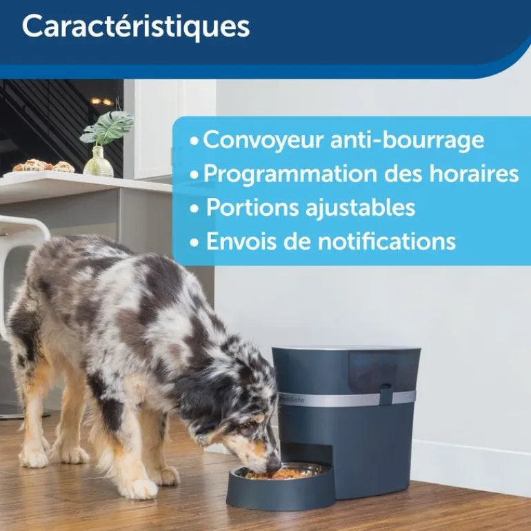 Distributeur connecté Smart Feed 12 repas bleu