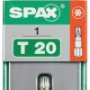 Embout Torx T-STARplus T20 1 pièce