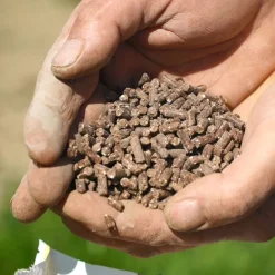 Engrais éco-fertilisant universel Bactériosol 8kg