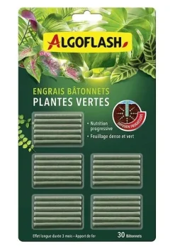 Engrais en bâtonnet spécial plantes vertes (x30)
