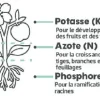 Engrais gazon cyanamide calcique 8kg 250m² TERAGILE
