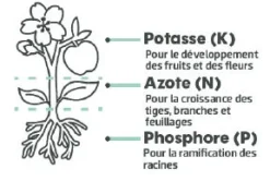Engrais gazon longue durée 5kg 200m² TERAGILE