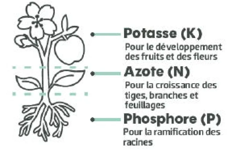Engrais gazon longue durée 5kg 200m² TERAGILE