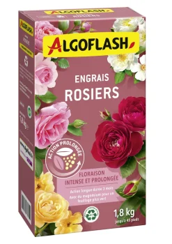 Engrais rosiers Action prolongée 1,8 kg ALGOFLASH
