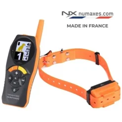 Ensemble de dressage Canicom R-800 - 1 chien