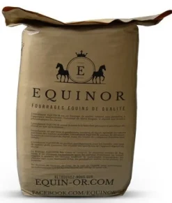 Equinor 20L