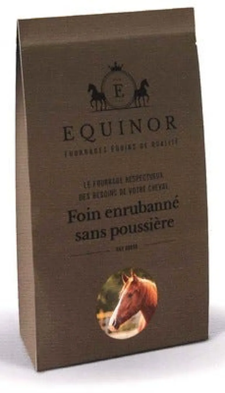 Equinor 20L