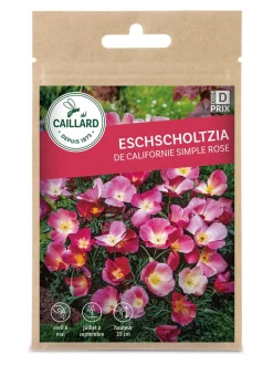 Eschscholtzia de Californie Simple Rose 2g CAILLARD