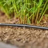 Extension tuyau goutteurs intégrés de surface 4,6mm (3/16")