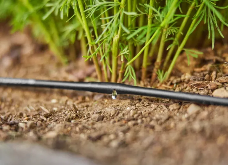 Extension tuyau goutteurs intégrés de surface 4,6mm (3/16")