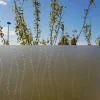 Film statique pour vitrage 60 cm - Bulles - Vendu au mètre