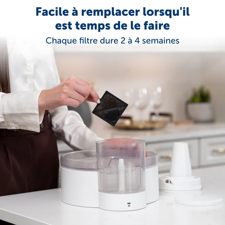 Filtre à charbon pour fontaine Viva (x4) PETSAFE