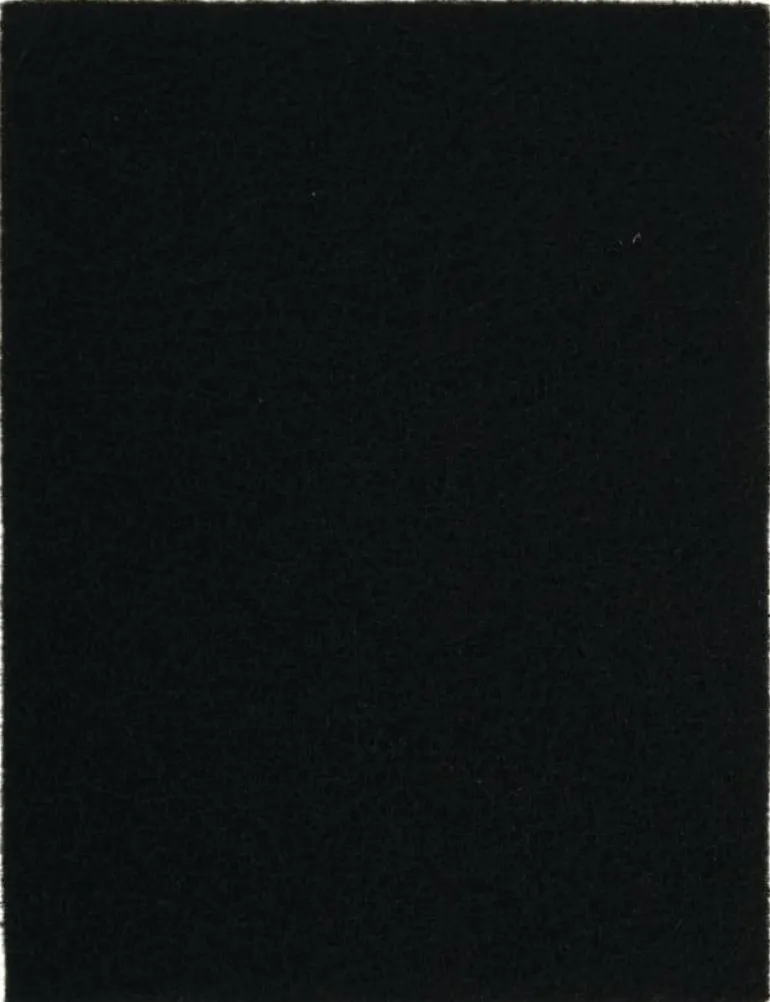 Filtre pour maisons de toilette 15x19,5cm (x3) ZOLUX