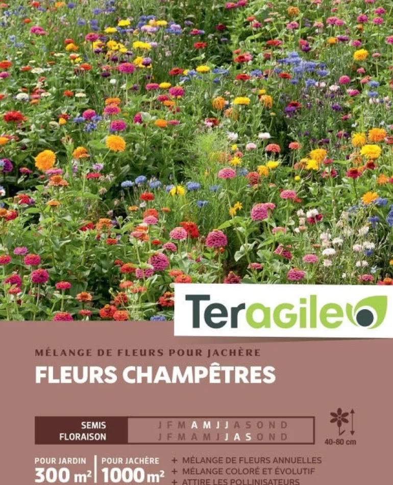 Fleurs Champêtres Jachère - 300/1000 m²