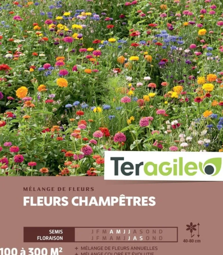 Fleurs Champêtres - 100/300 m²