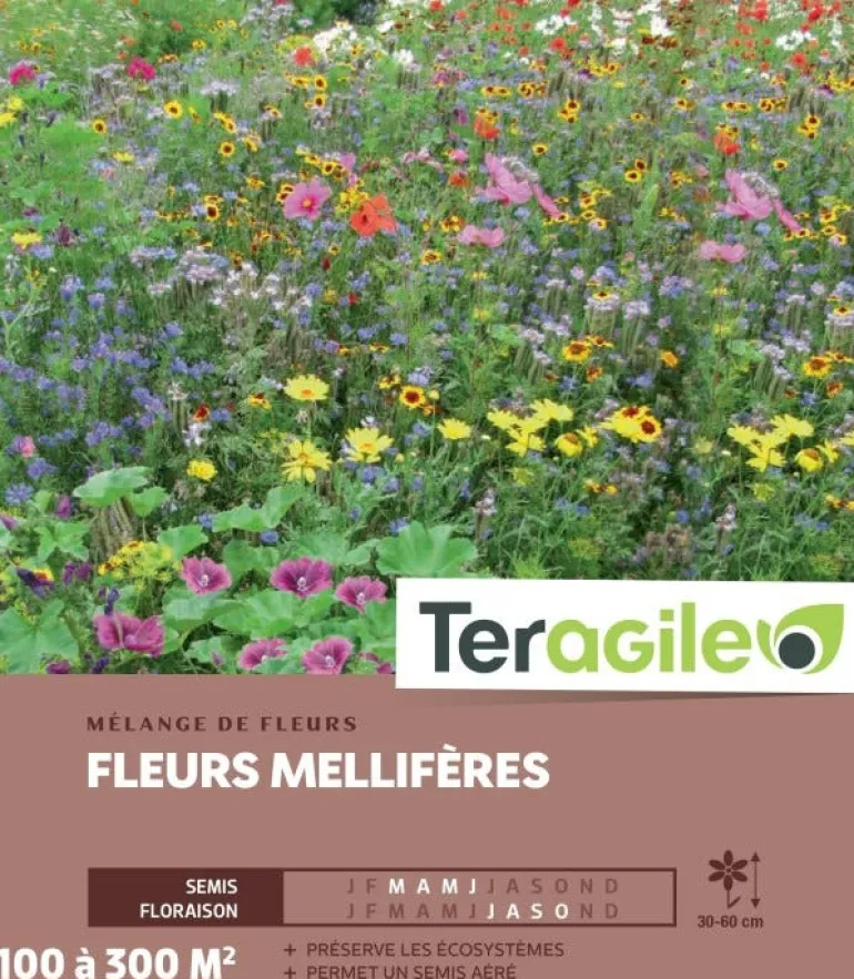 Fleurs Mellifères - 100/300 m²