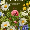 Fleurs sauvages, du jardin, d'intérieur