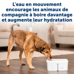 Fontaine à bulles Viva 4,1L blanc PETSAFE