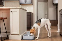 Fontaine Drinkwell en plastique sans BPA 3,7L gris
