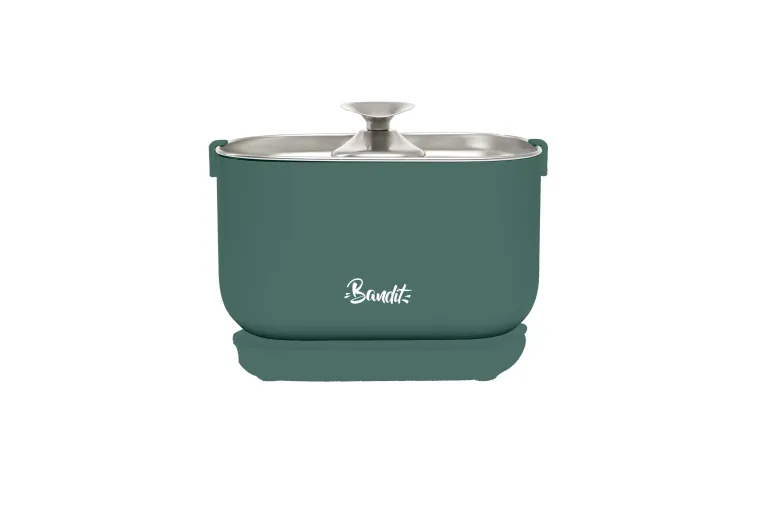Fontaine à eau filaire pour chat 2,5L Vert BANDIT