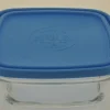 Freshbox Carré avec Couvercle Bleu 17cm