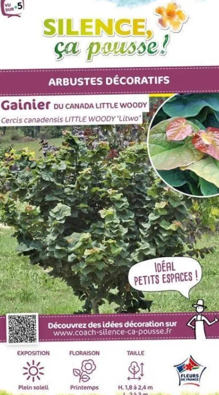 Gainier du Canada "Little Woody" Pot 10L SILENCE ÇA POUSSE