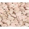 Galet rose Toulouse 12/24 le filet de 20 kg