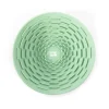 Gamelle de léchage 19 cm en silicone vert