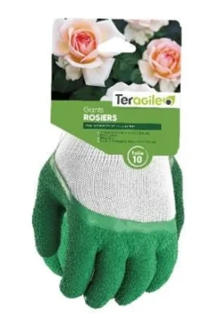 Gants rosiers Vert TERAGILE