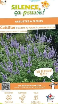 Gattilier à grandes feuilles "Arbre au poivre" Pot 10L