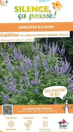 Gattilier à grandes feuilles Pot 4.5L SILENCE ÇA POUSSE