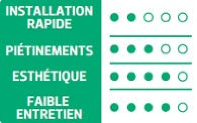 Gazon ombre 1kg TERAGILE