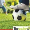 Gazon sports et jeux 25 kg TERAGILE