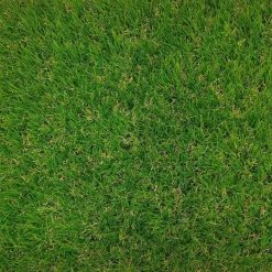 Gazon synthétique Camp Nou 40mm largeur 2m - Vendu au ml