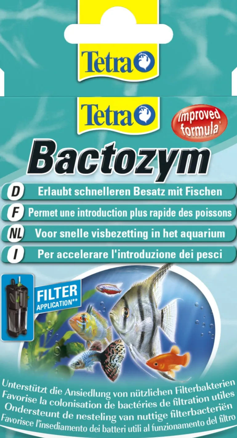 Gélule TetraBactozym accélérateur colonisat bactéries