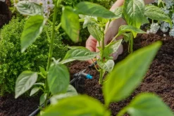 Goutteur en ligne auto-régulant GARDENA x10
